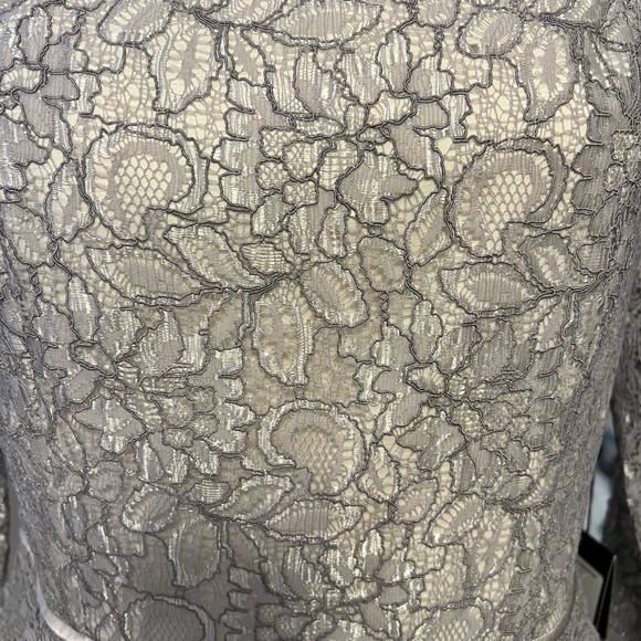 Adrianna Papell Womens Gray Lace Peplum Midi Dress Sz 8 Mother of Bride READ - Picture 8 of 13